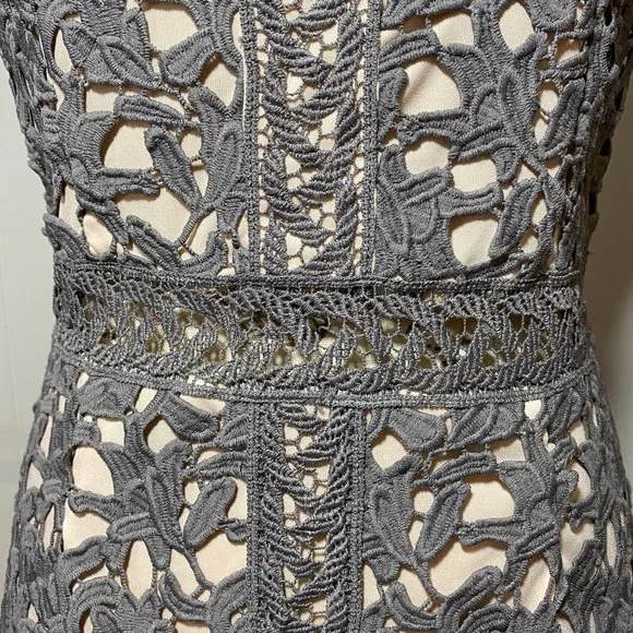 Beautiful Alya Taupe Lace Fitted Sleeveless Sheath Dress  Size L Gray - Picture 5 of 8